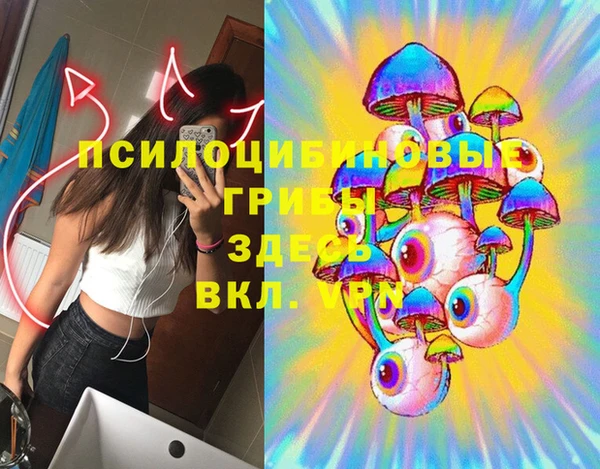 МДМА Елизово