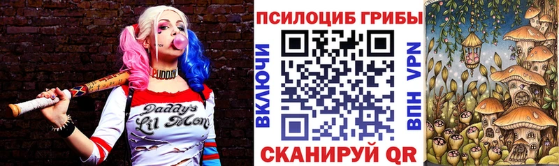 Купить закладки  Каргополь  Галлюциногенные грибы ЛСД 